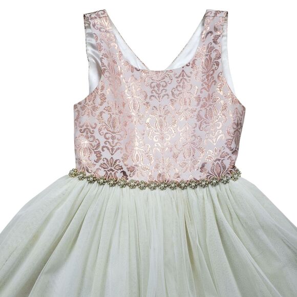 American Princess Jacquard Dress Girls Size 10 Ball Gown Pearl Tiered Tulle - Picture 3 of 9